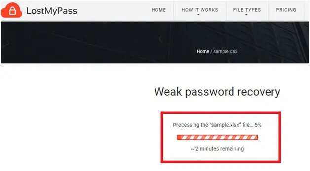 complete the excel password recovery process in lostmypass