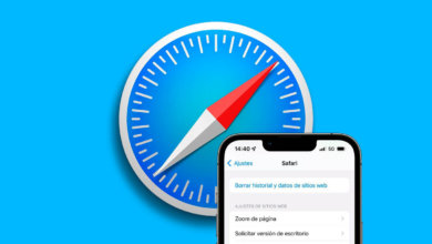 How to Check Search History on iPhone