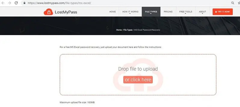 lostmypass excel password recovery online