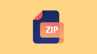 Cómo abrir un archivo ZIP protegido con contraseña sin contraseña