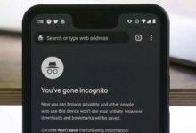 How to See Incognito History on iPhone and Android