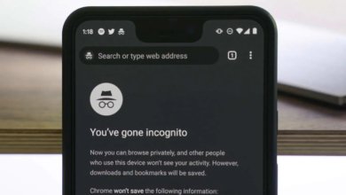 Comment voir l'historique d'Incognito sur iPhone et Android