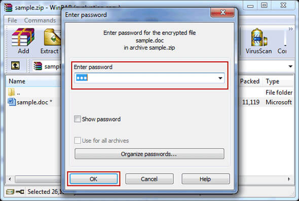 decomprimere la password del file zip